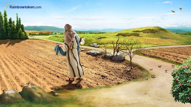 The Parable of the Sower